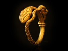 Snake Jewellery