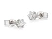 Old cut diamond stud earrings.
