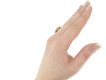 Medieval lion entaglio ring, berganza hatton garden  
