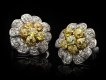 Fancy colour diamond cluster earrings hatton garden