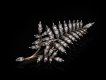 Rose cut diamond foliate spray brooch hatton garden