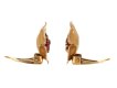 Ruby clip earrings French circa 1940 hatton garden