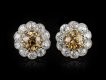 Fancy colour diamond cluster earrings circa 1915 hatton garden