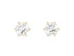 Old cut diamond stud earrings.