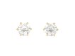 Cushion old mine diamond stud earrings. 